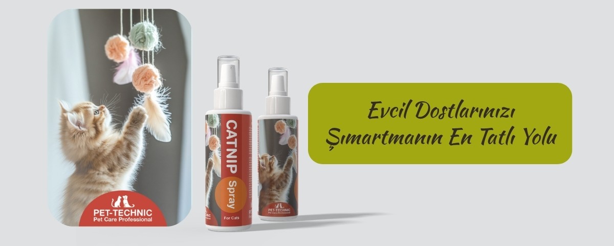 anasayfa slider3